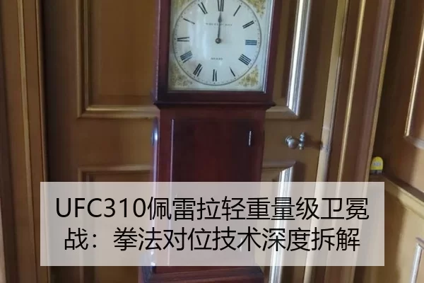 UFC310佩雷拉轻重量级卫冕战：拳法对位技术深度拆解