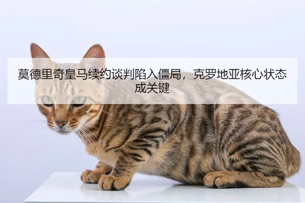 莫德里奇皇马续约谈判陷入僵局，克罗地亚核心状态成关键